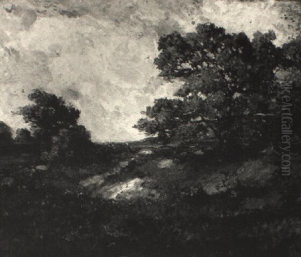Autumn Oak - view 1
