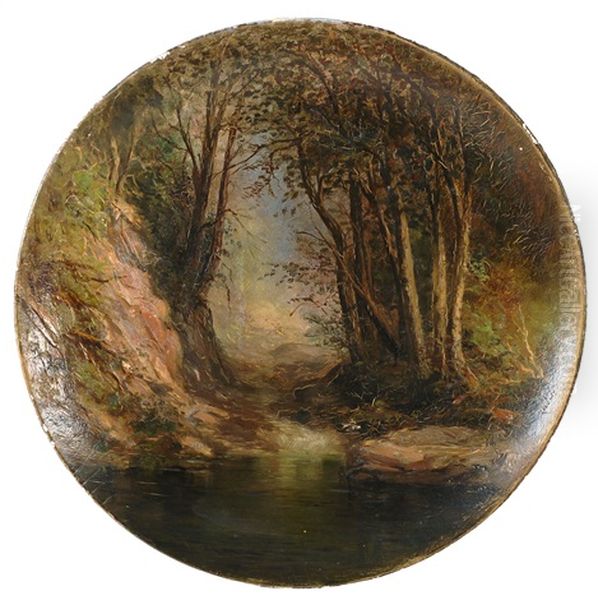 Mountain Stream - view 1