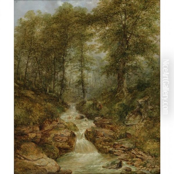Rushing River Through A Ravine - view 1