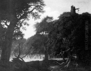 Sunlight In The Clearing