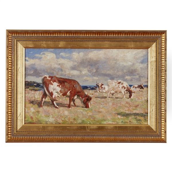 Cattle In A Field - view 1