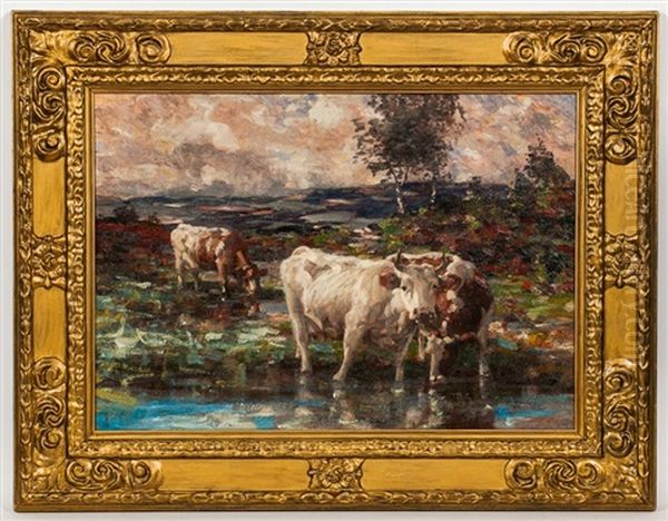 Cattle Drinking - view 1
