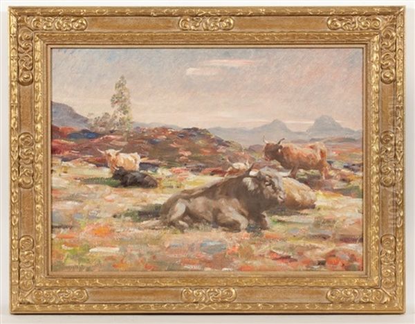 Highlnd Cattle, On The Moor (with Canisp And Suilven In The Distance) - view 1