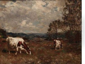 Cattle In Meadow by Andrew Douglas