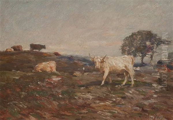 Cattle On The Perthshire Hills - view 1