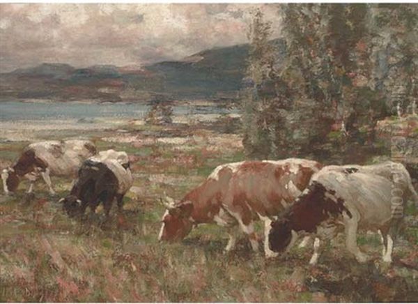 Cattle In The Highlands - view 1