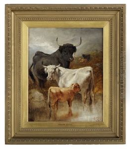 Highland Cattle
