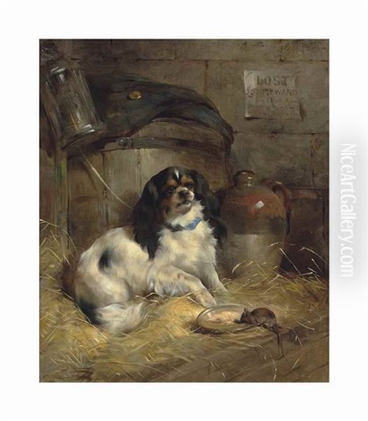 A Cavalier King Charles Spaniel - view 1