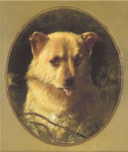 Puppy