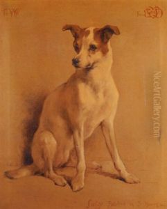 "judy" - A Jack Russell Terrier