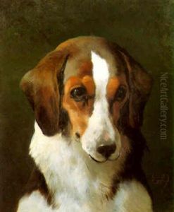 A Hound