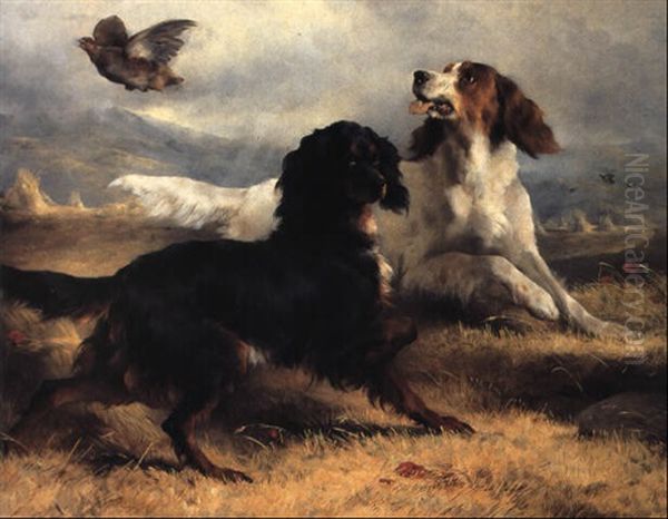 Setters Putting Up Partridge - view 1