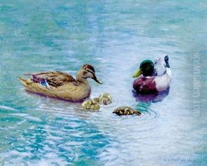 Ducks In A Pond by Walter Douglas