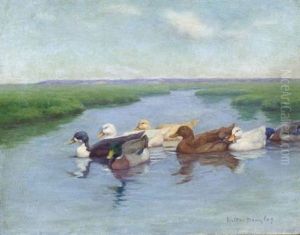 Ducks On A Pond by Walter Douglas