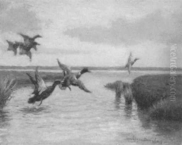 Ducks In Flight - view 1
