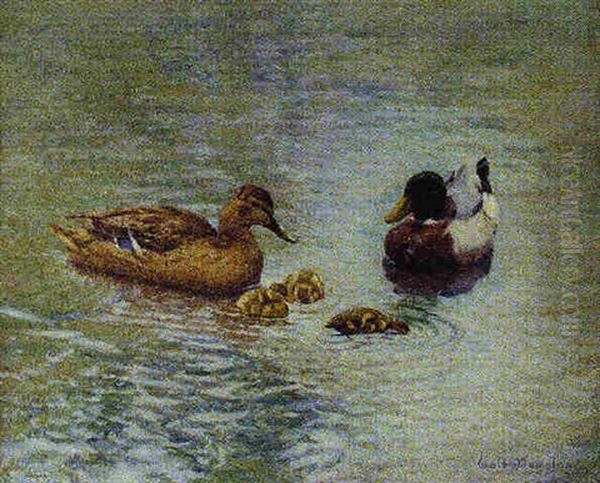 Mallards - view 1