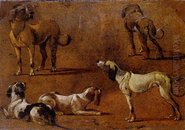Hunting Dogs - view 1