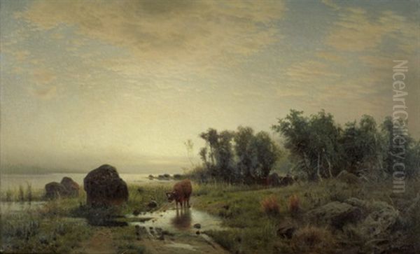 Boddenlandschaft Im Abendlicht - view 1