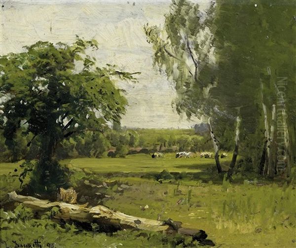 Weidelandschaft - view 1