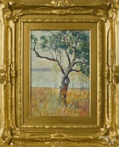 Landscape Landscape