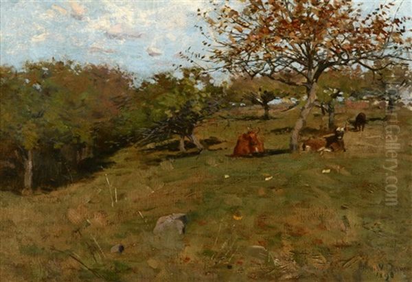 Cows Resting On A Hillside - view 1