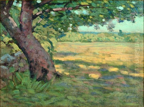 Shadow Of The Apple Tree - view 1