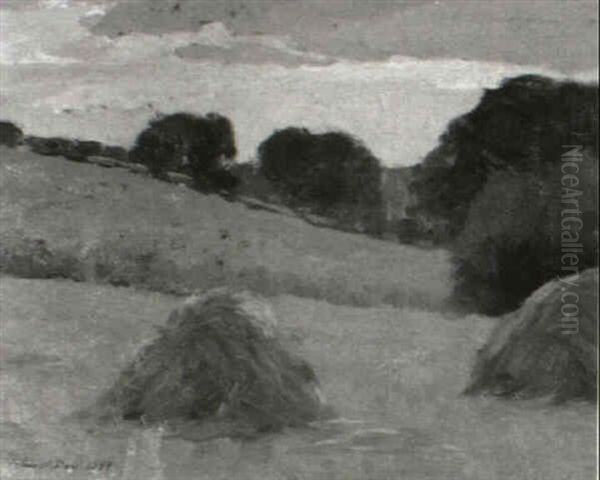 The Hayfields - view 1
