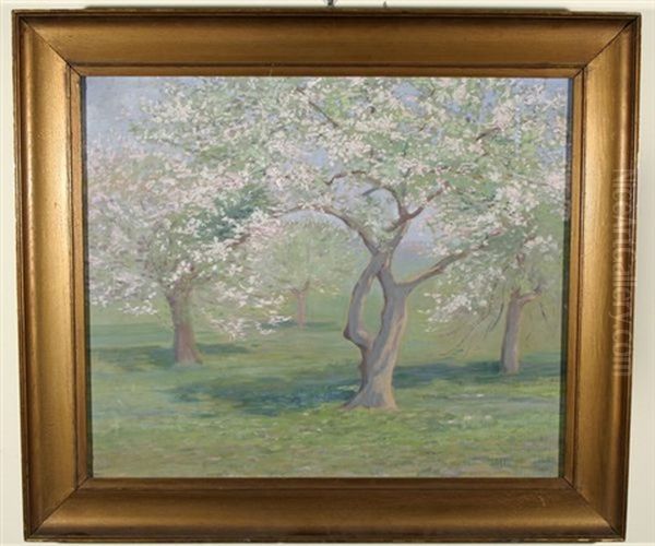 The Orchard - view 1