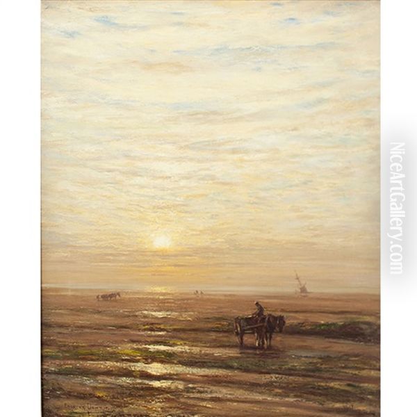 Lowtide - view 1