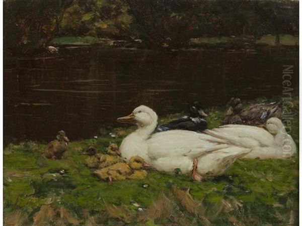 Ducks Resting - view 1