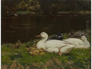 Ducks Resting by Patrick Downie