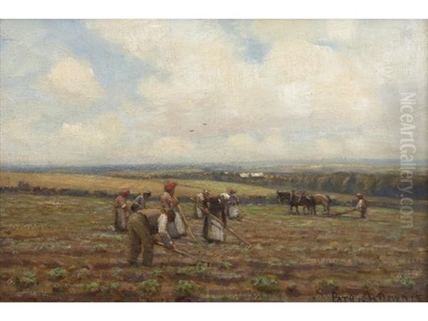 Potato Harvesters - view 1