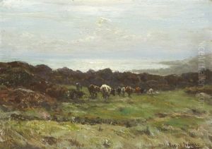 Noonday, West Kilbride Uplands, Scotland by Patrick Downie
