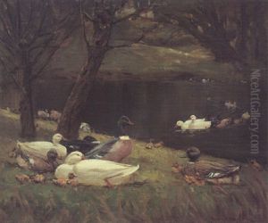 Ducks by Patrick Downie