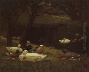 Ducks by Patrick Downie