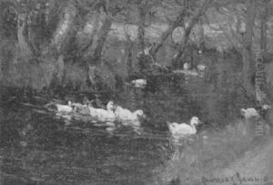 Duck Study by Patrick Downie