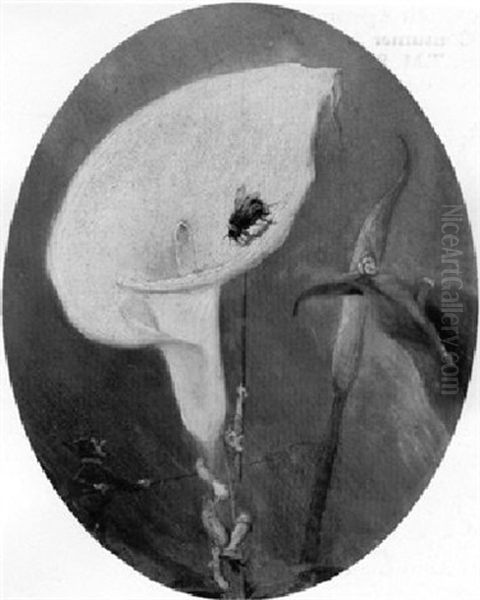 The Bumble-bee Hunt - view 1