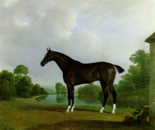 A Black Racehorse With White Stockings Standing In A River Landscape - view 1