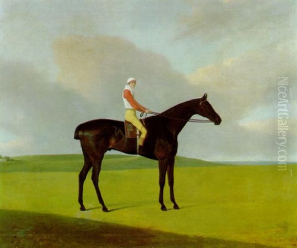"steel", A Bay Racehorse, With Haslam Up - view 1