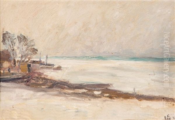 Coastal Landscape - view 1