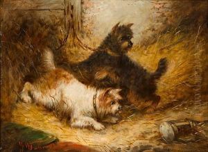 Terriers And Spaniels: Two