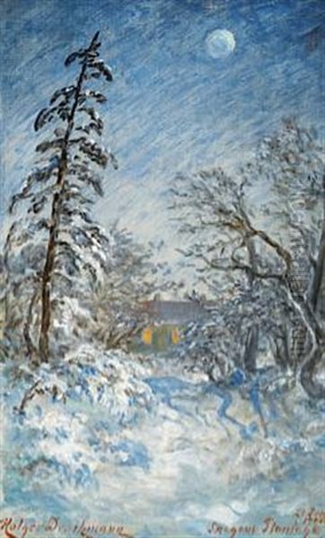 P.s. Kroyer's House At Winter - view 1