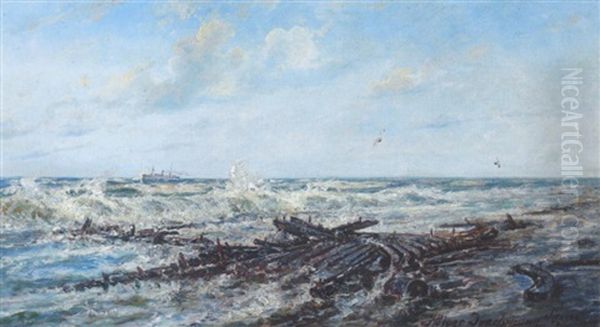 Solrig Vinterdag Ved Skagen Strand - view 1
