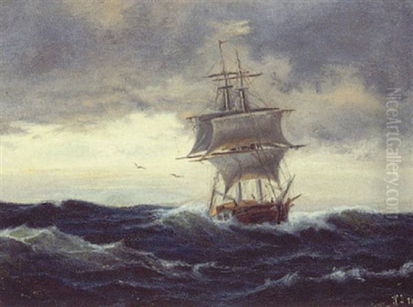 Marine Med Tomaster - view 1