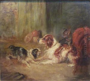 Spaniels And Terrier Play Fighting
