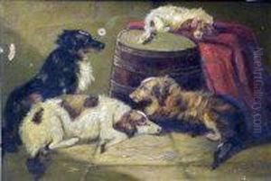 Dogs
