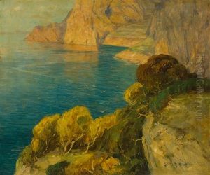 Blick Auf Eine Bucht Mit Steilkuste Im Sommer by George Drah