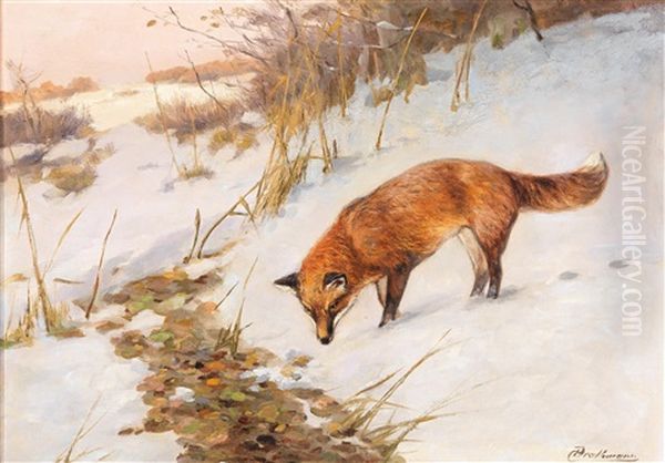 Fox In A Winter Wood - view 1