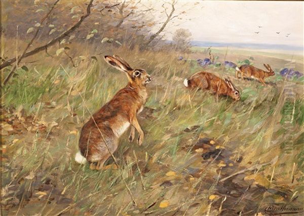 Hares In The Field - view 1