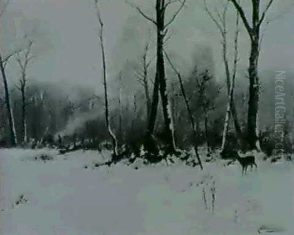 Rotwild Im Winterwald - view 1